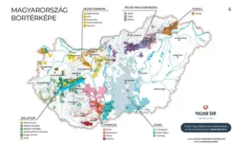 “borrégiók-borvidékek”