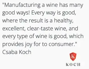 Koch Winery - English Slogan