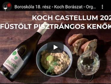 Boroskóla 18. rész - Koch Borászat - Organic Castellum 2020 - Füstölt pisztrángos kenő