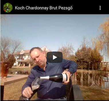 Pezsgő Chardonnay Brut száraz tradicionális videó