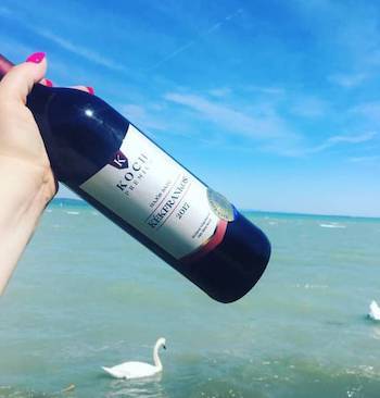 kékfrankos vörösbor a Balatonon