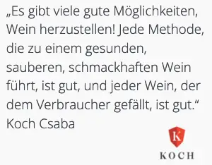 Weingut Koch - Deutscher Slogan